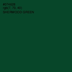 #074628 - Sherwood Green Color Image