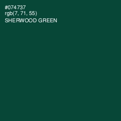 #074737 - Sherwood Green Color Image