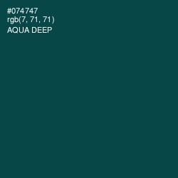 #074747 - Aqua Deep Color Image