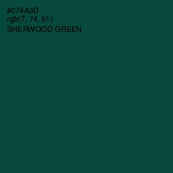#074A3D - Sherwood Green Color Image