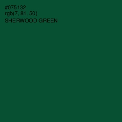 #075132 - Sherwood Green Color Image