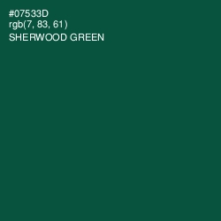 #07533D - Sherwood Green Color Image