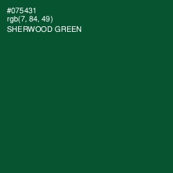 #075431 - Sherwood Green Color Image