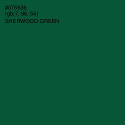 #075636 - Sherwood Green Color Image