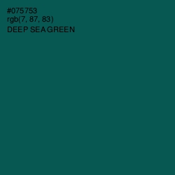 #075753 - Deep Sea Green Color Image