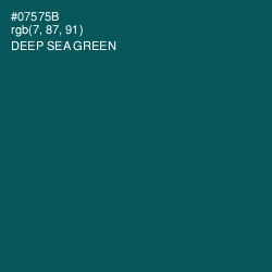 #07575B - Deep Sea Green Color Image