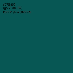 #075855 - Deep Sea Green Color Image