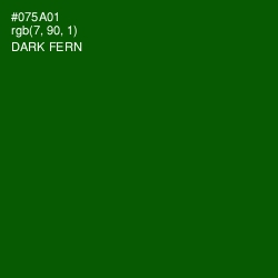 #075A01 - Dark Fern Color Image