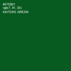 #075B21 - Kaitoke Green Color Image