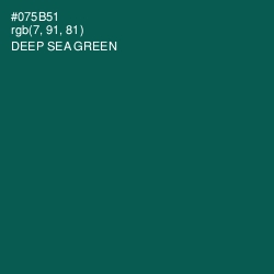 #075B51 - Deep Sea Green Color Image