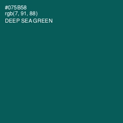 #075B58 - Deep Sea Green Color Image