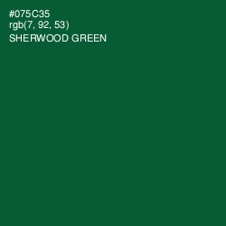 #075C35 - Sherwood Green Color Image