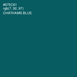 #075C61 - Chathams Blue Color Image