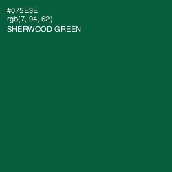 #075E3E - Sherwood Green Color Image