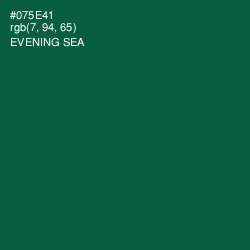 #075E41 - Evening Sea Color Image