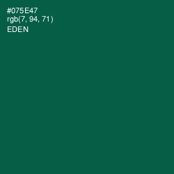 #075E47 - Eden Color Image