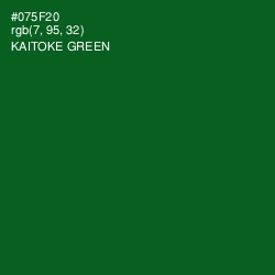 #075F20 - Kaitoke Green Color Image