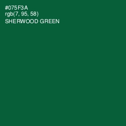 #075F3A - Sherwood Green Color Image