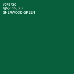 #075F3C - Sherwood Green Color Image