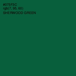 #075F3C - Sherwood Green Color Image