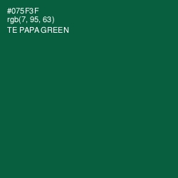 #075F3F - Te Papa Green Color Image