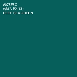 #075F5C - Deep Sea Green Color Image