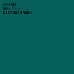 #075F5C - Deep Sea Green Color Image