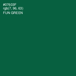 #07603F - Fun Green Color Image