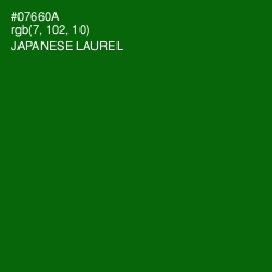 #07660A - Japanese Laurel Color Image