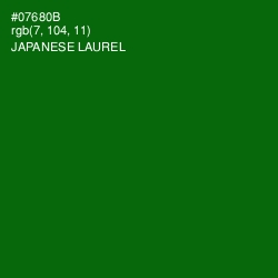 #07680B - Japanese Laurel Color Image