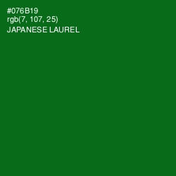 #076B19 - Japanese Laurel Color Image