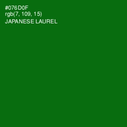 #076D0F - Japanese Laurel Color Image