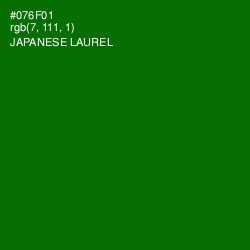 #076F01 - Japanese Laurel Color Image