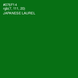 #076F14 - Japanese Laurel Color Image