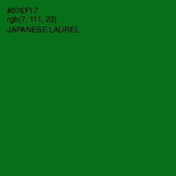 #076F17 - Japanese Laurel Color Image