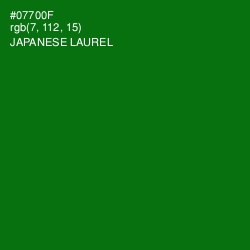 #07700F - Japanese Laurel Color Image