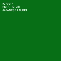 #077017 - Japanese Laurel Color Image