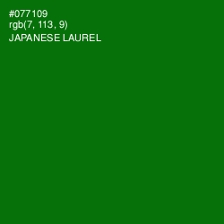 #077109 - Japanese Laurel Color Image