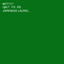 #077117 - Japanese Laurel Color Image