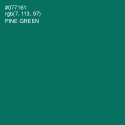 #077161 - Pine Green Color Image