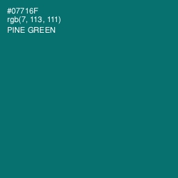 #07716F - Pine Green Color Image