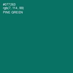 #077263 - Pine Green Color Image