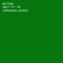 #07750E - Japanese Laurel Color Image