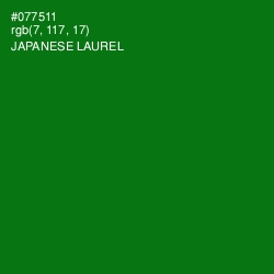 #077511 - Japanese Laurel Color Image