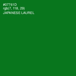 #07761D - Japanese Laurel Color Image