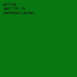 #07770F - Japanese Laurel Color Image