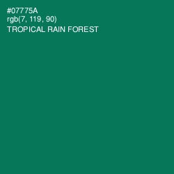 #07775A - Tropical Rain Forest Color Image