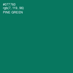 #077760 - Pine Green Color Image