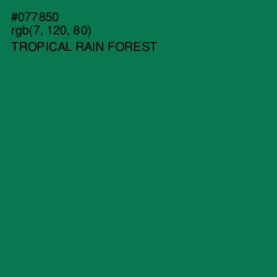 #077850 - Tropical Rain Forest Color Image