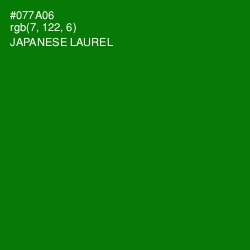 #077A06 - Japanese Laurel Color Image
